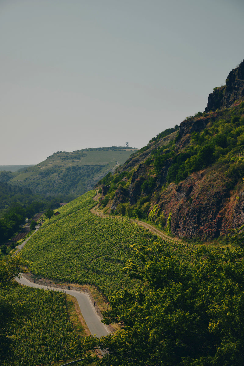 Laufen & Wandern